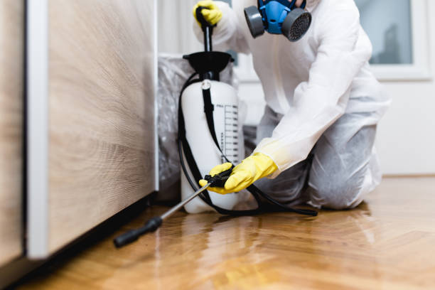 Best Commercial Pest Control Services  in Blossom, TX