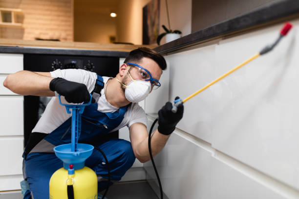 Professional Pest Control in Blossom, TX