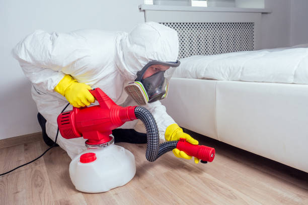 Best Pest Removal Services  in Blossom, TX