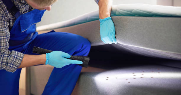 Professional Pest Control in Blossom, TX
