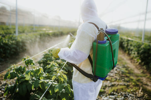 Best Bed Bug Extermination  in Blossom, TX